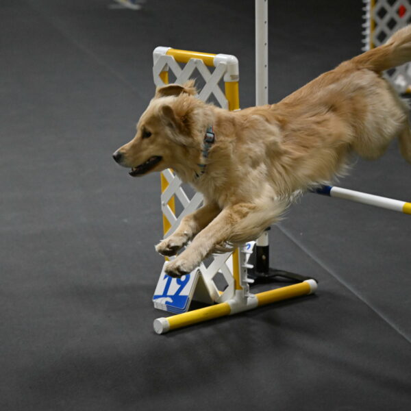 Perry-Likevich-04902