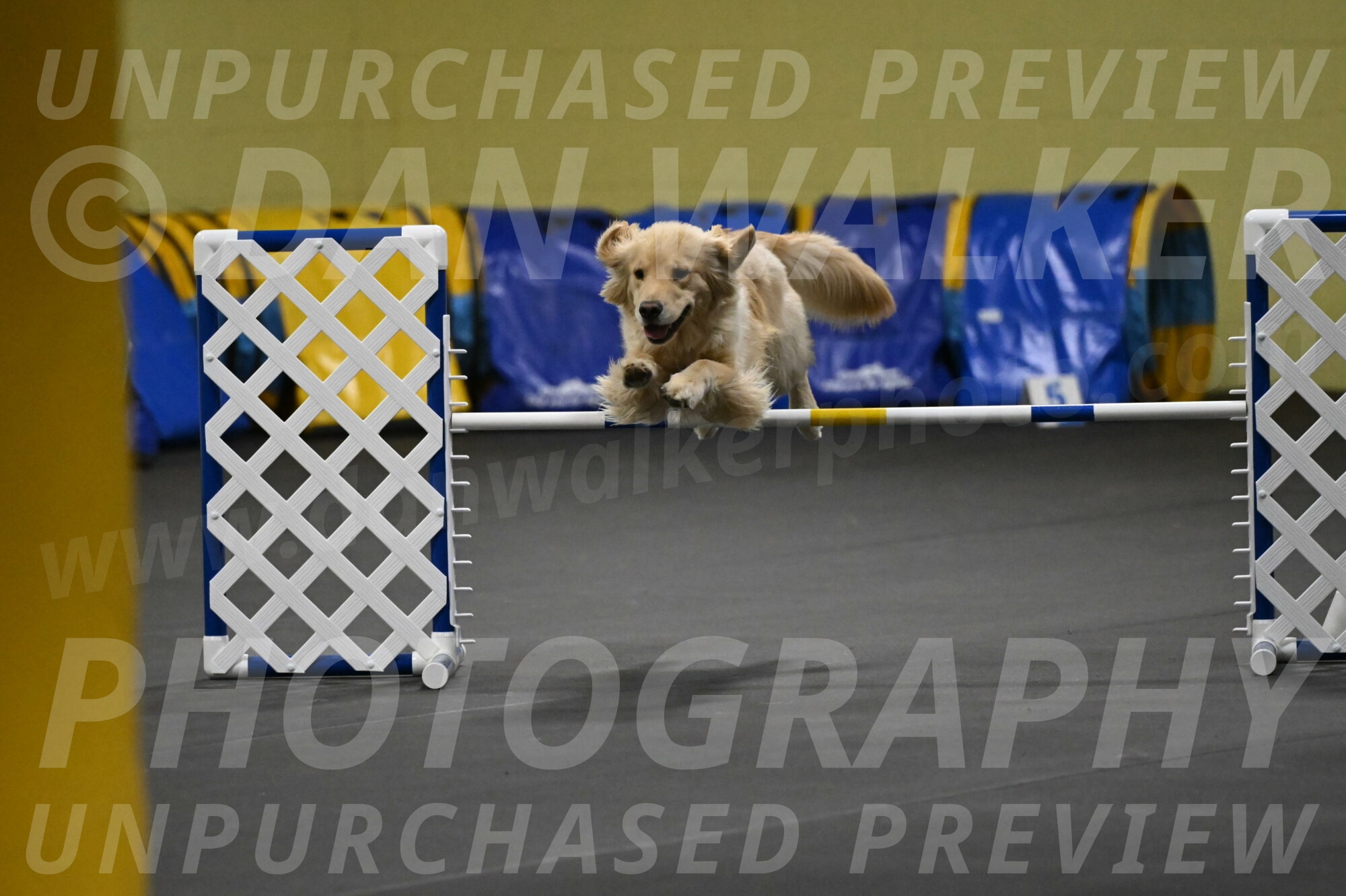 Perry-Likevich-04910