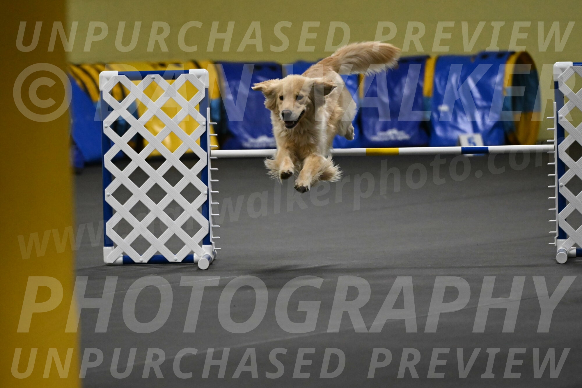 Perry-Likevich-04911