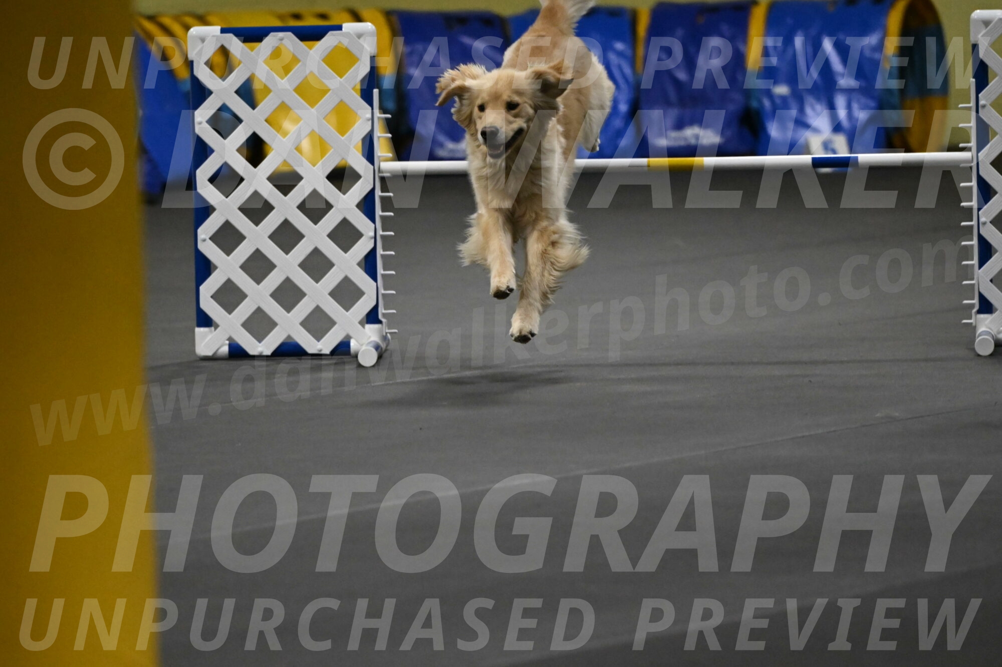 Perry-Likevich-04912