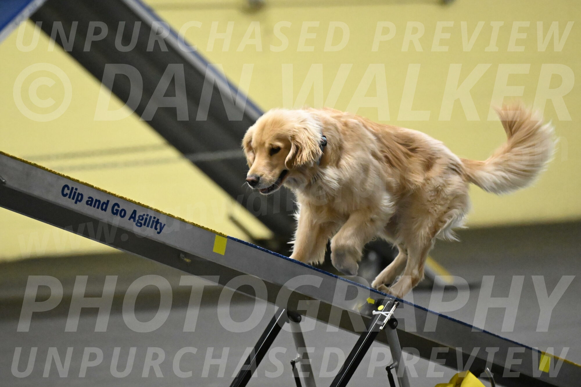 Perry-Likevich-04913