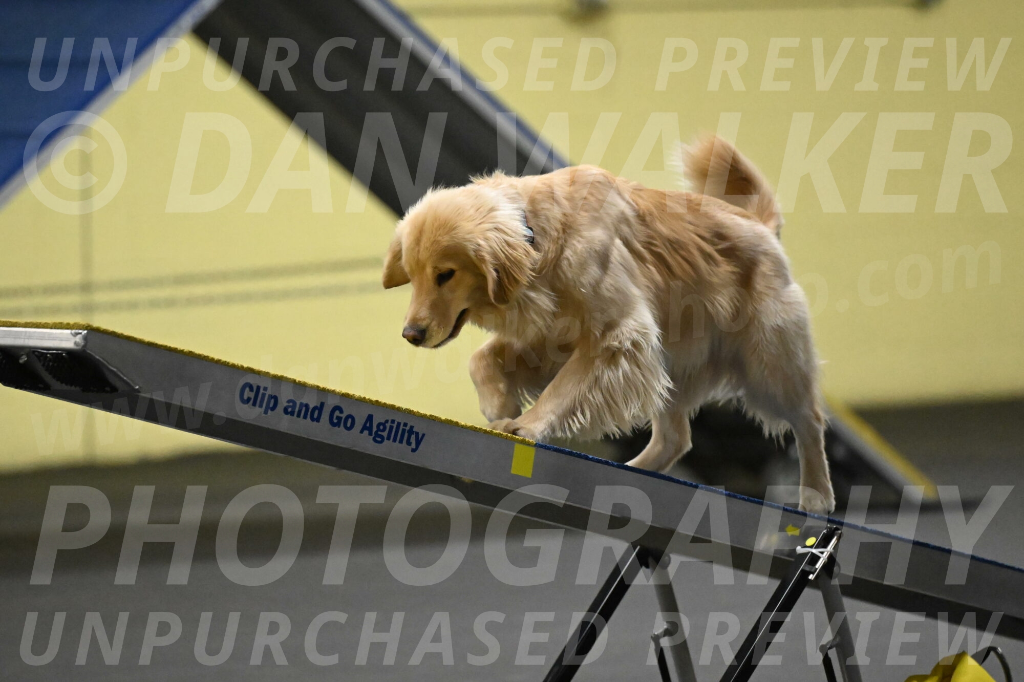 Perry-Likevich-04916