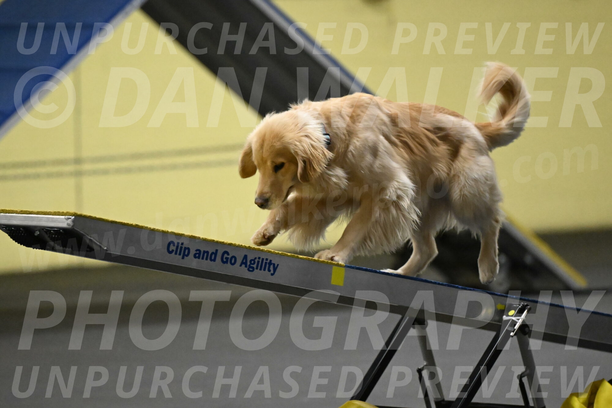 Perry-Likevich-04917