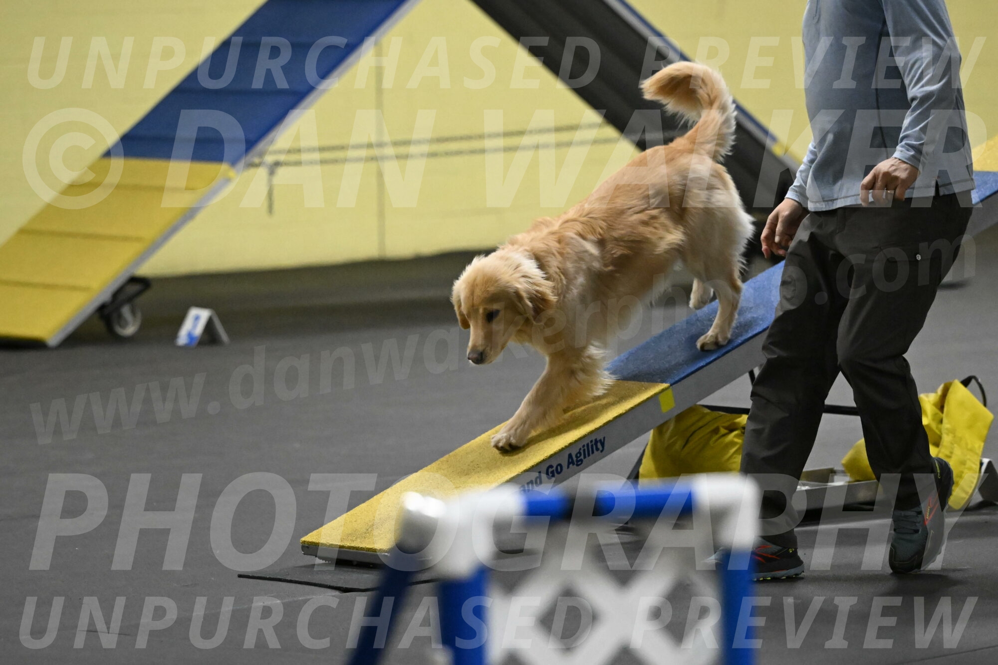 Perry-Likevich-04921