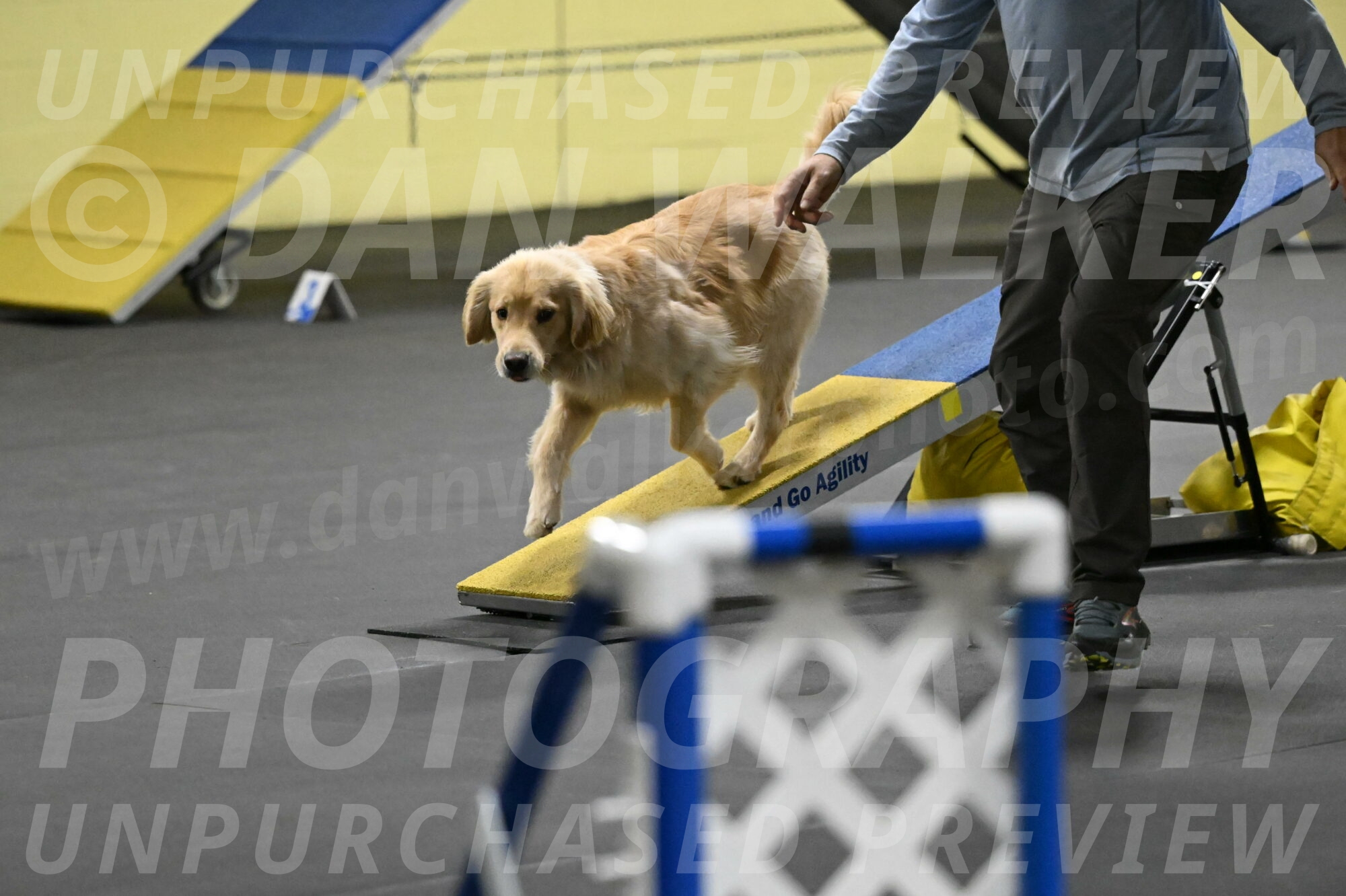 Perry-Likevich-04925