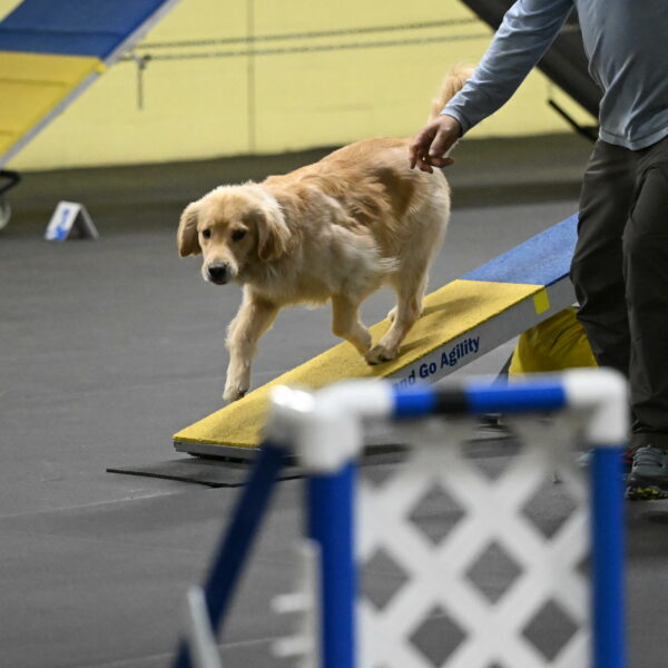 Perry-Likevich-04925