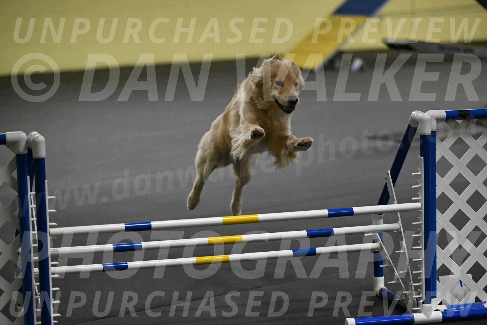 Perry-Likevich-04929