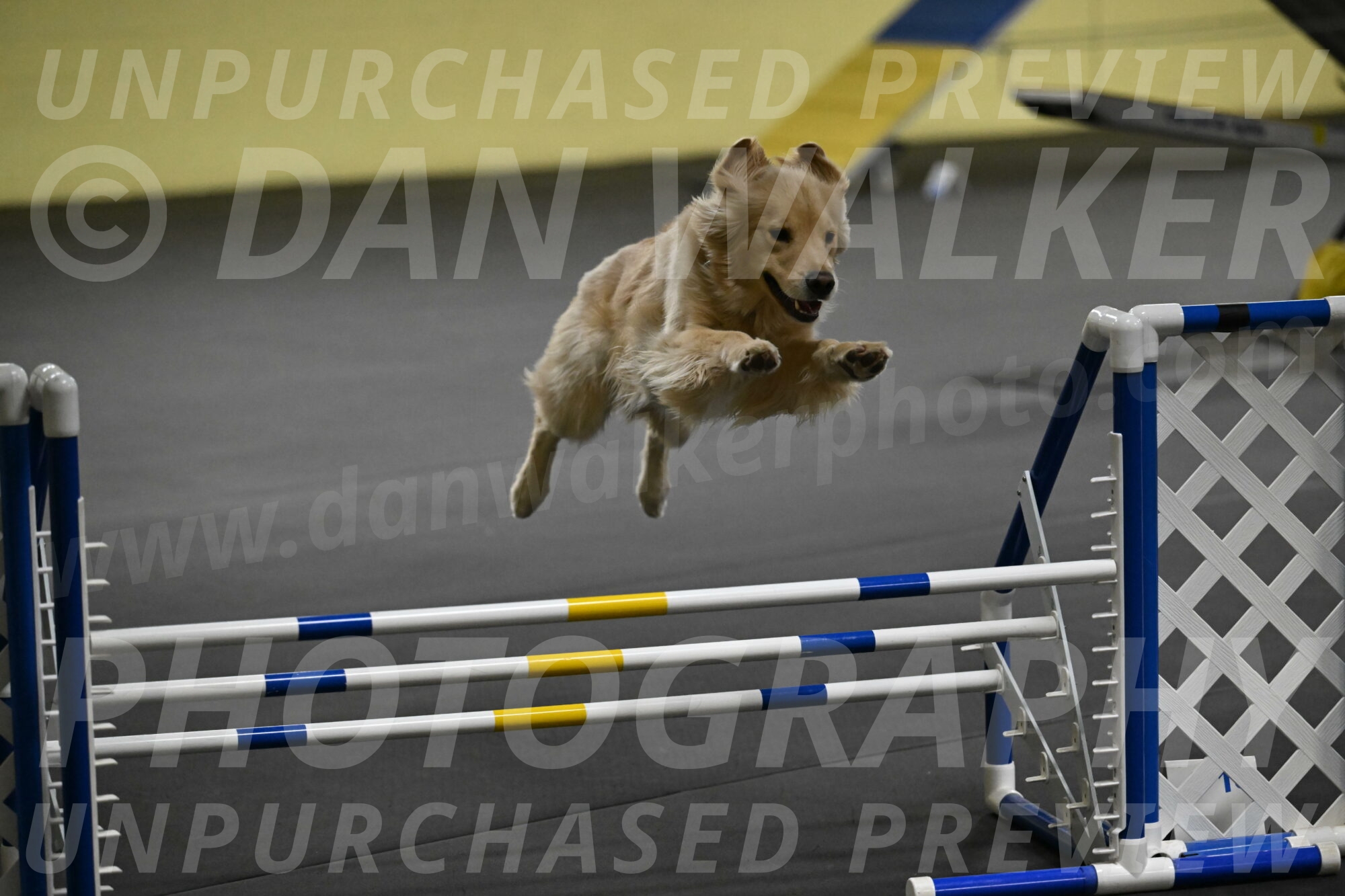 Perry-Likevich-04930