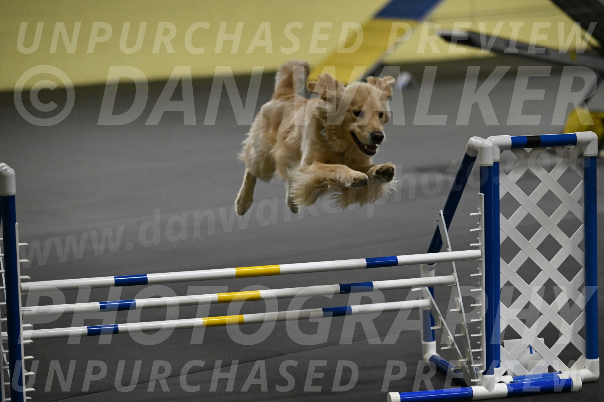 Perry-Likevich-04931