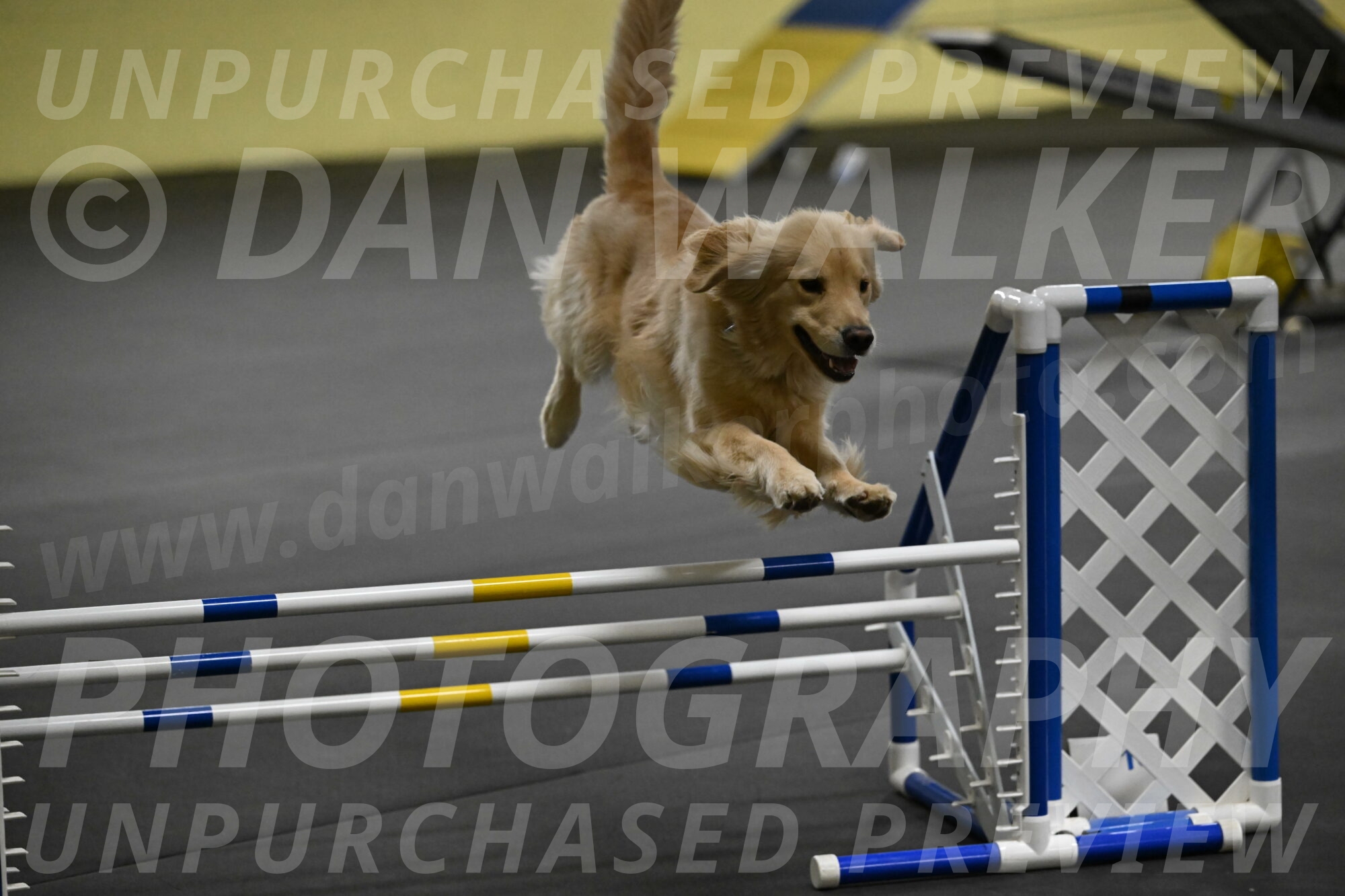 Perry-Likevich-04932