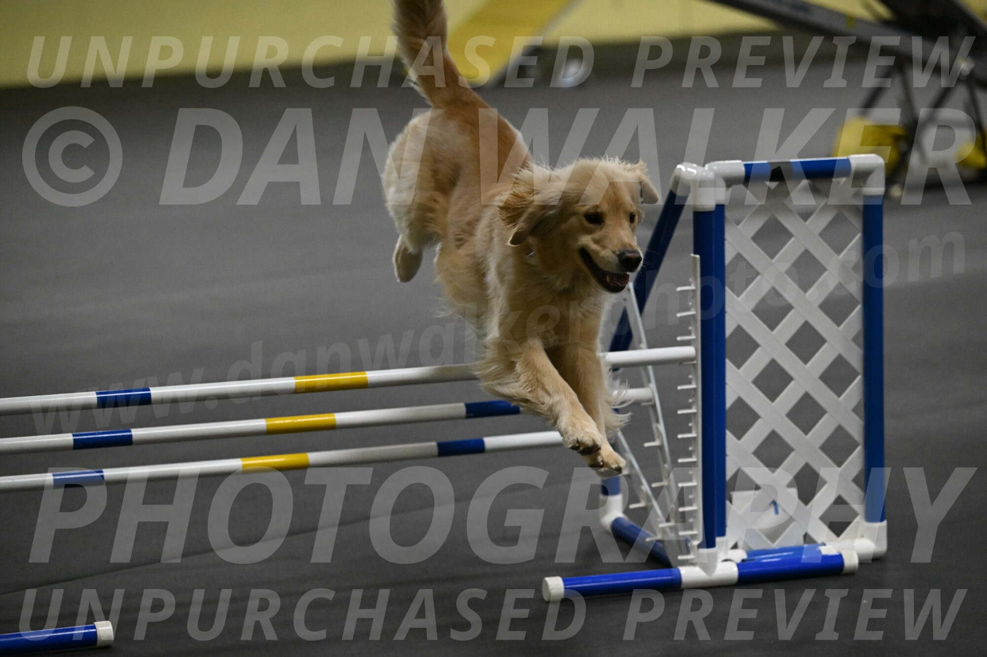 Perry-Likevich-04933