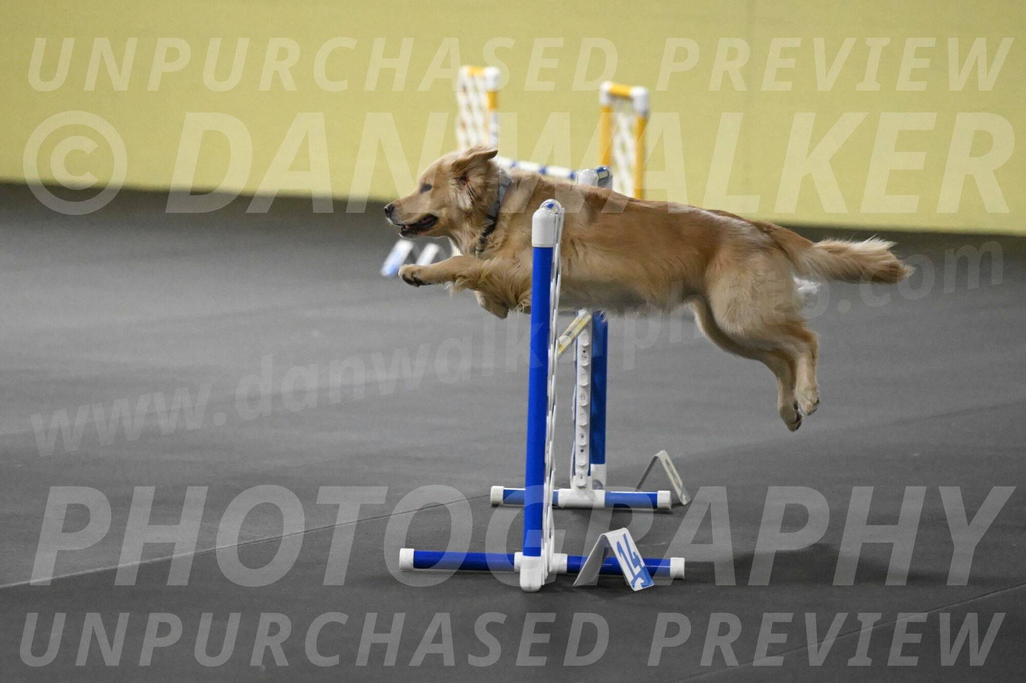 Perry-Likevich-04934