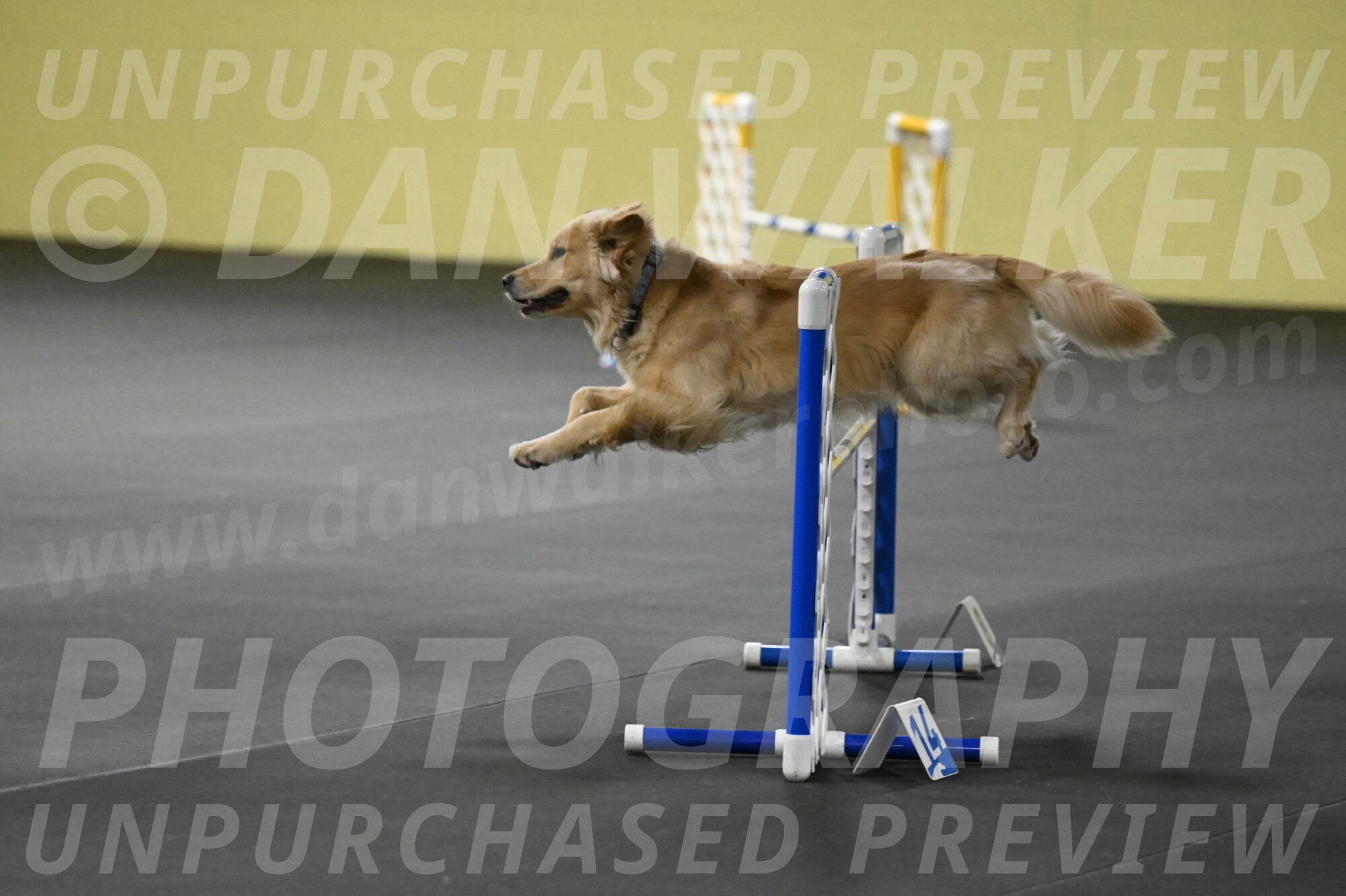 Perry-Likevich-04935