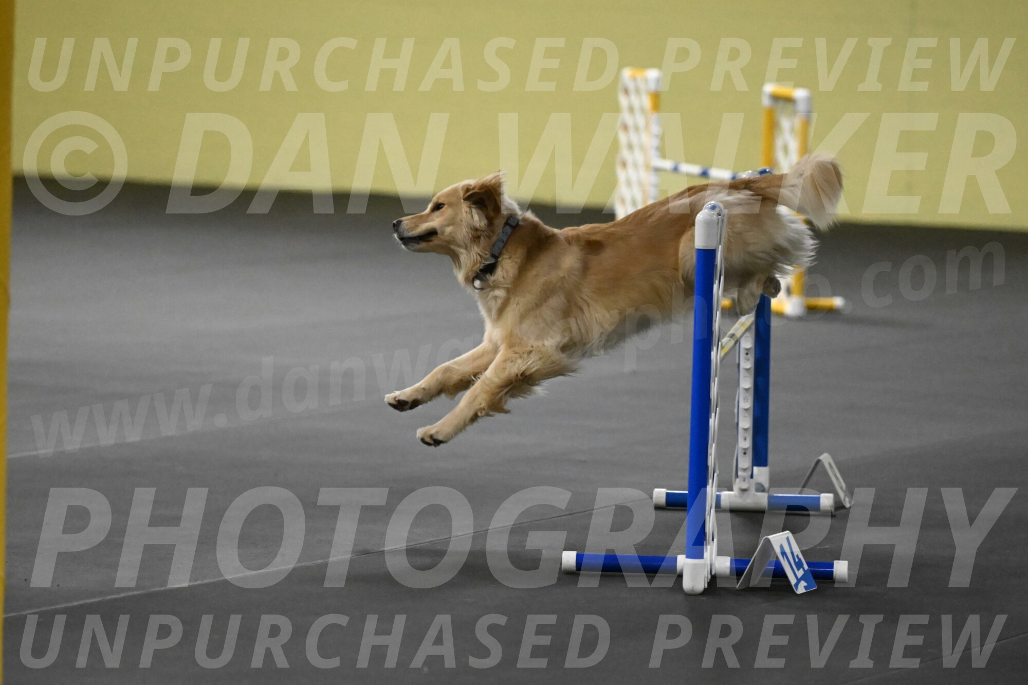 Perry-Likevich-04936