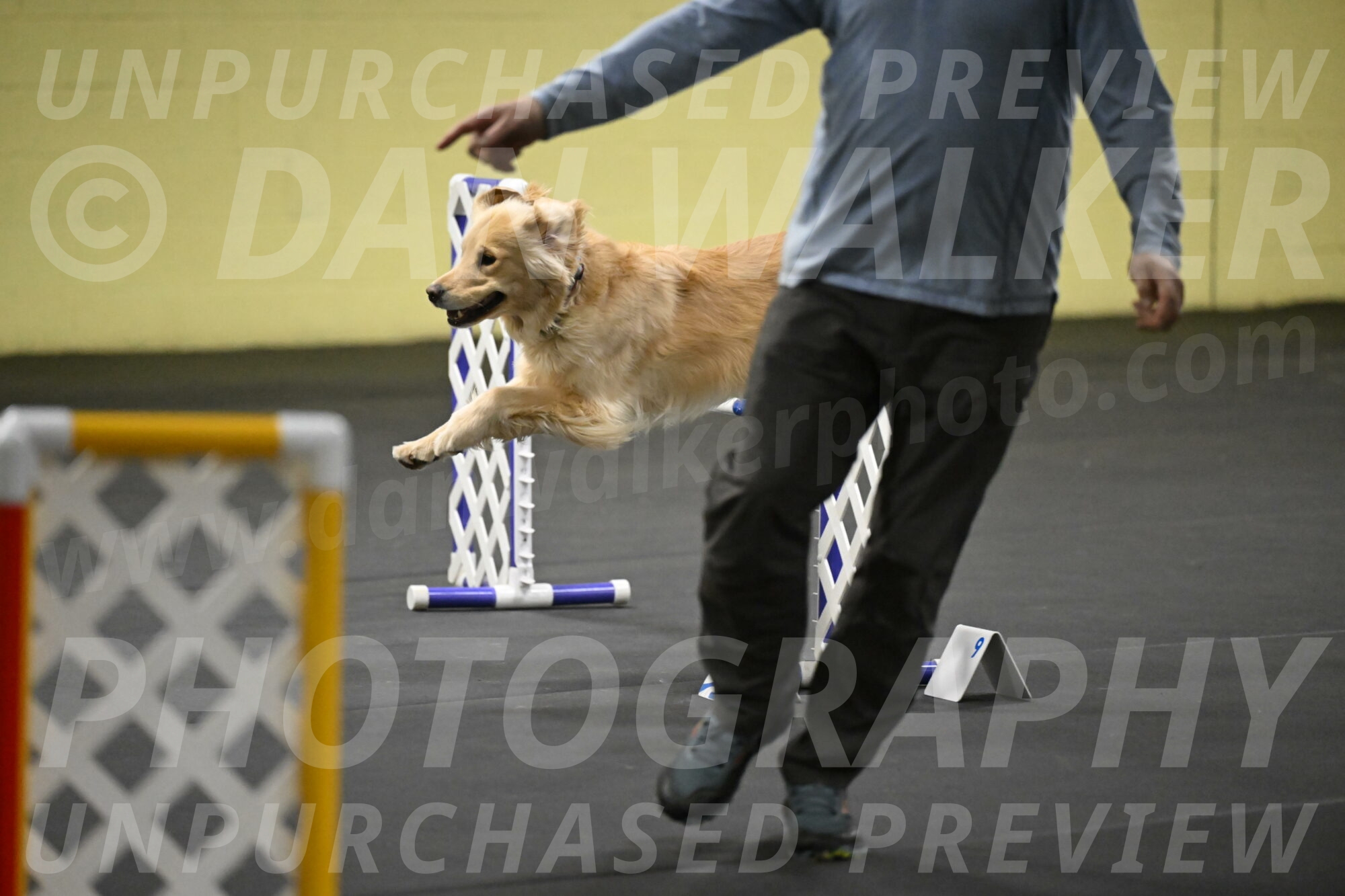 Perry-Likevich-04937