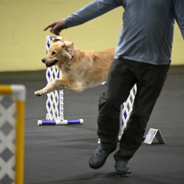 Perry-Likevich-04937