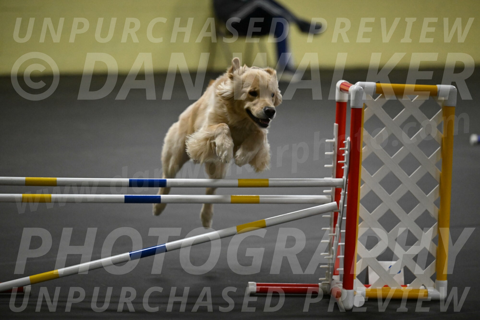 Perry-Likevich-04943