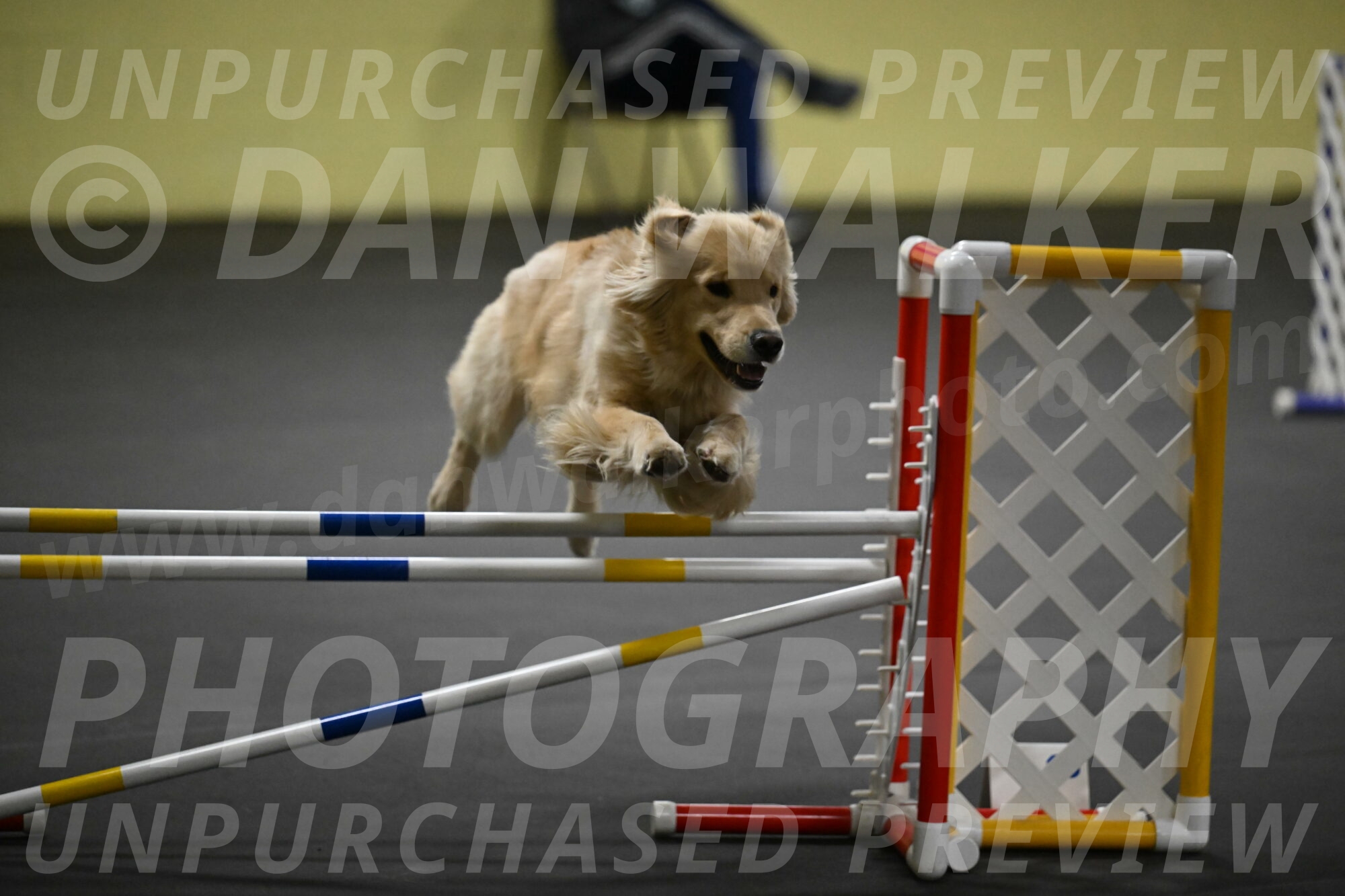 Perry-Likevich-04944