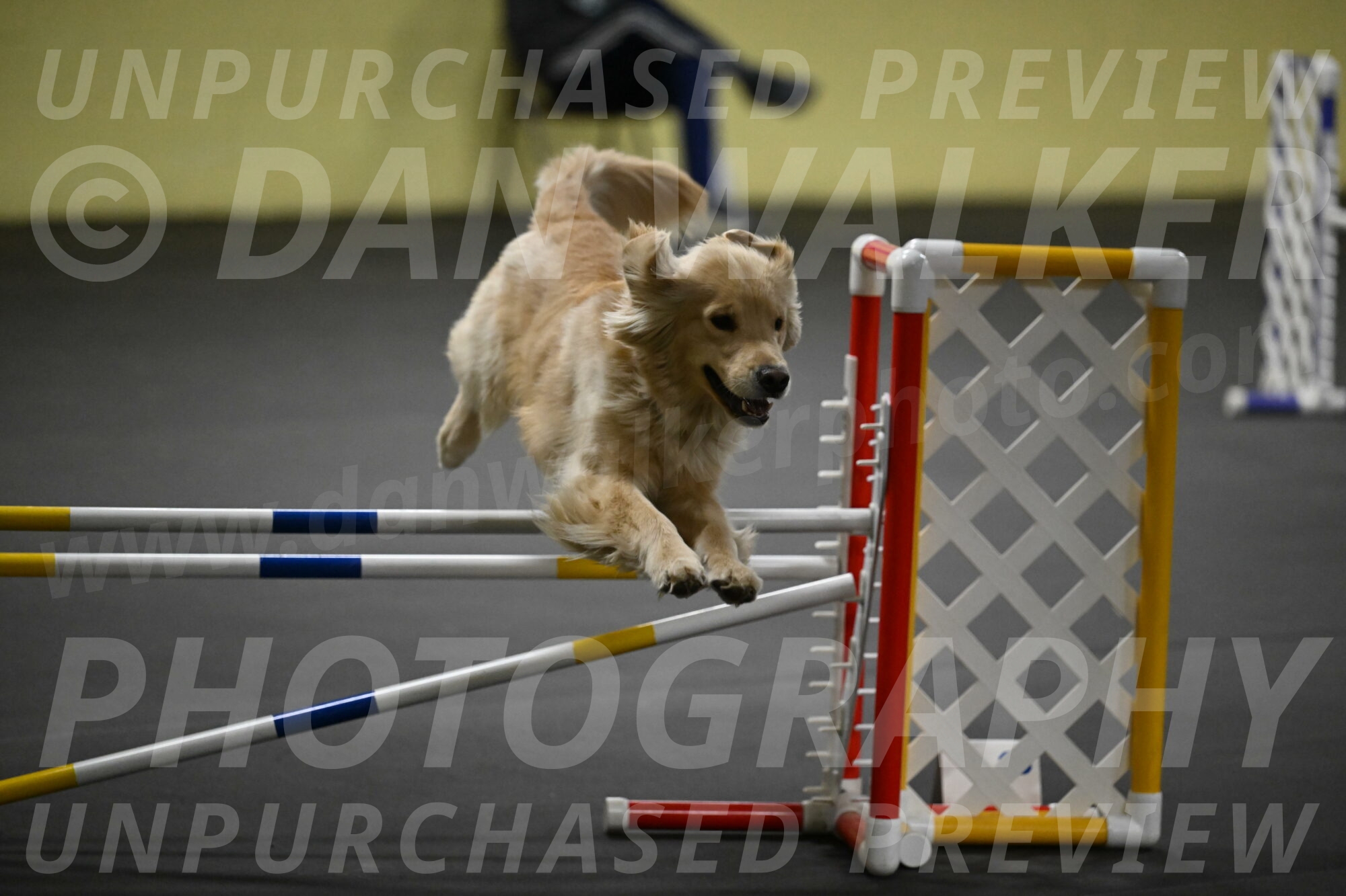 Perry-Likevich-04945