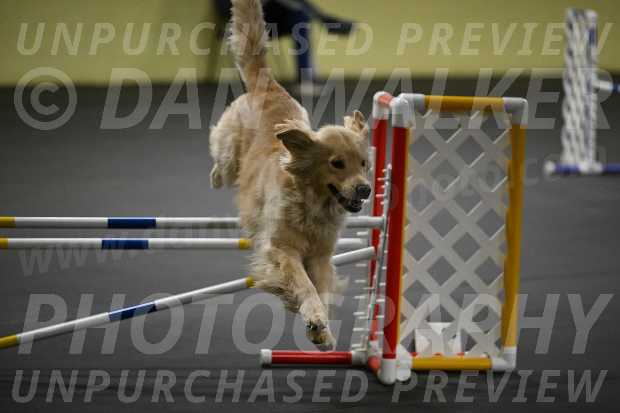 Perry-Likevich-04946