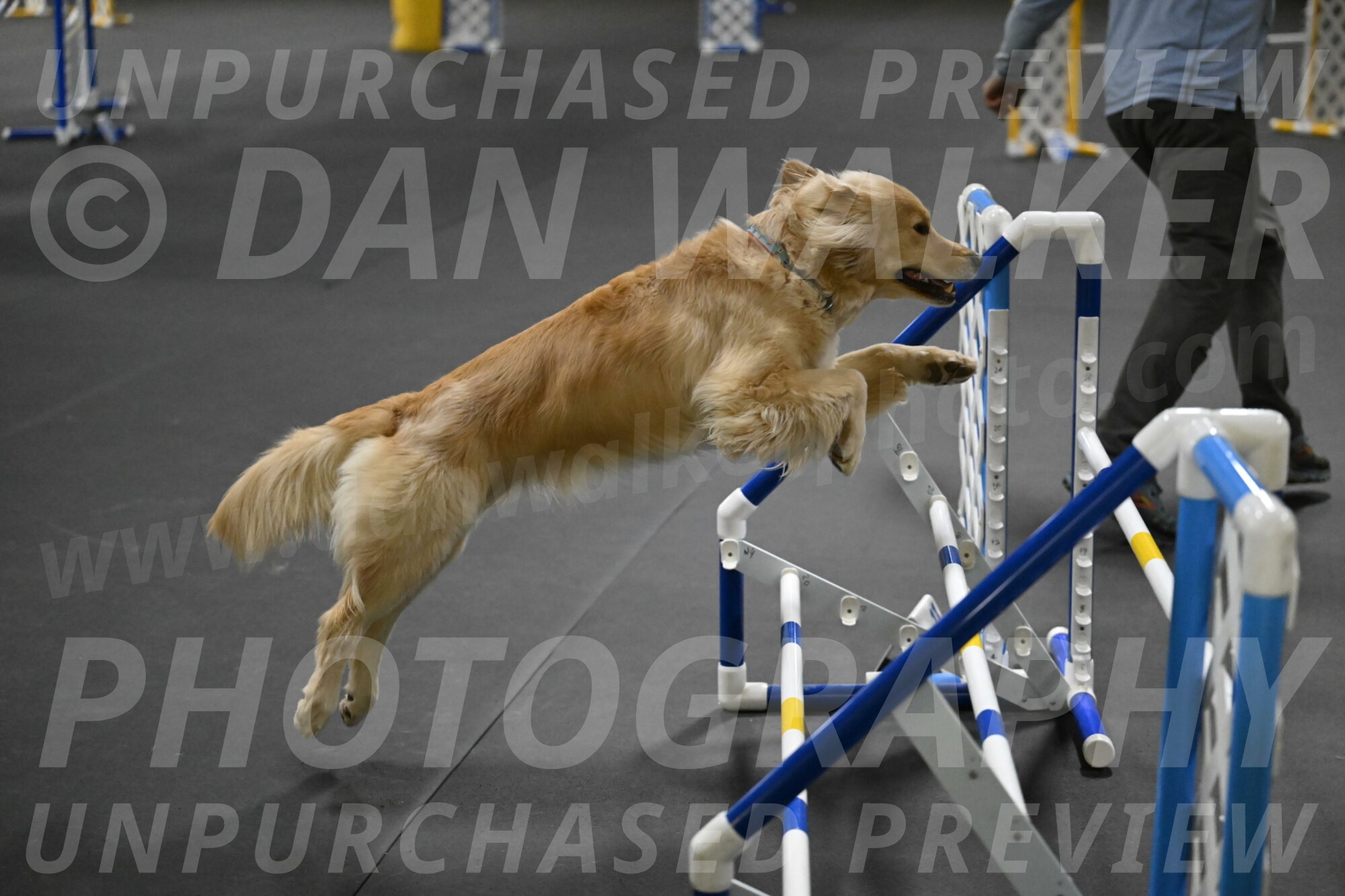 Perry-Likevich-04954