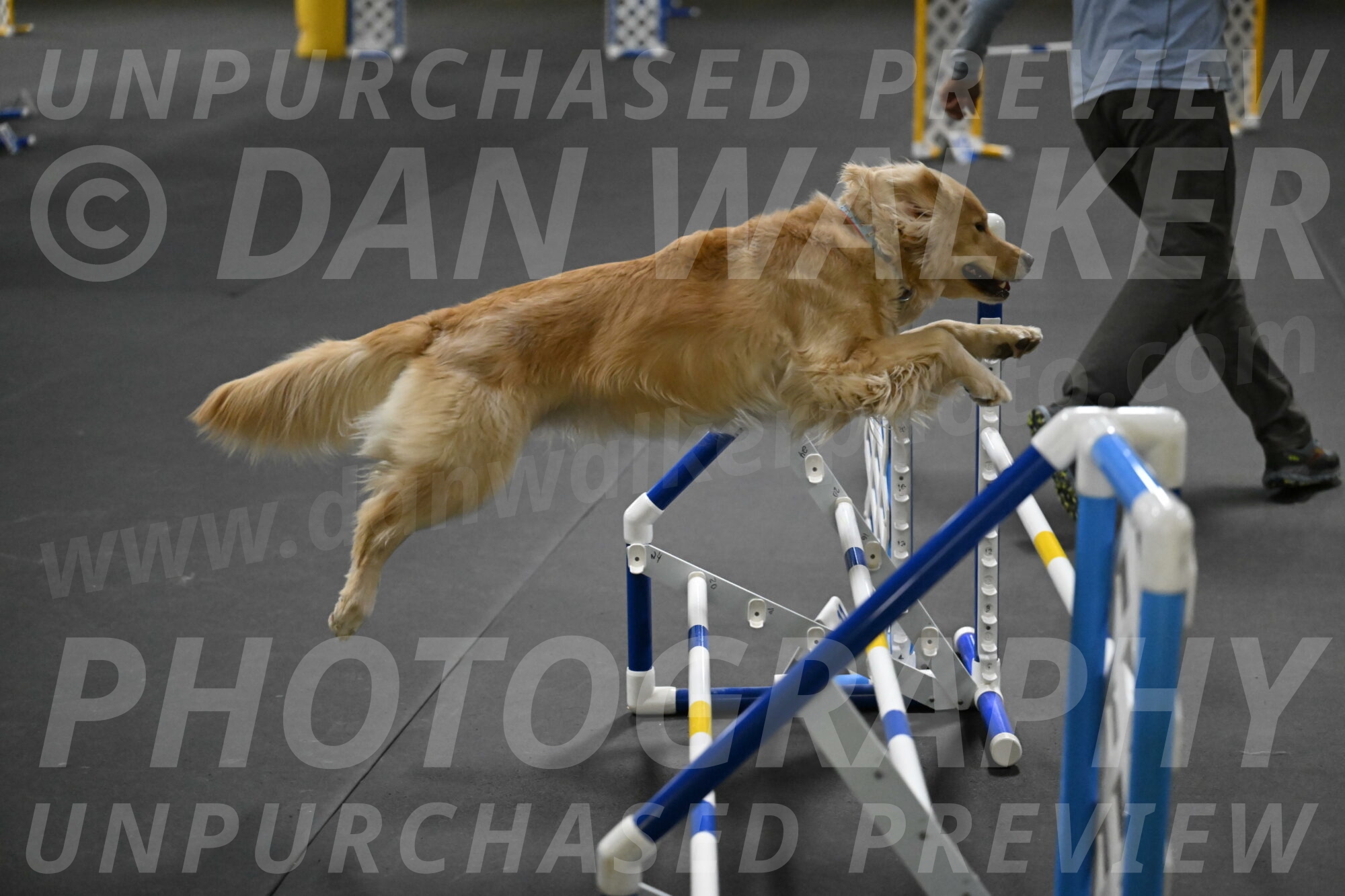 Perry-Likevich-04955