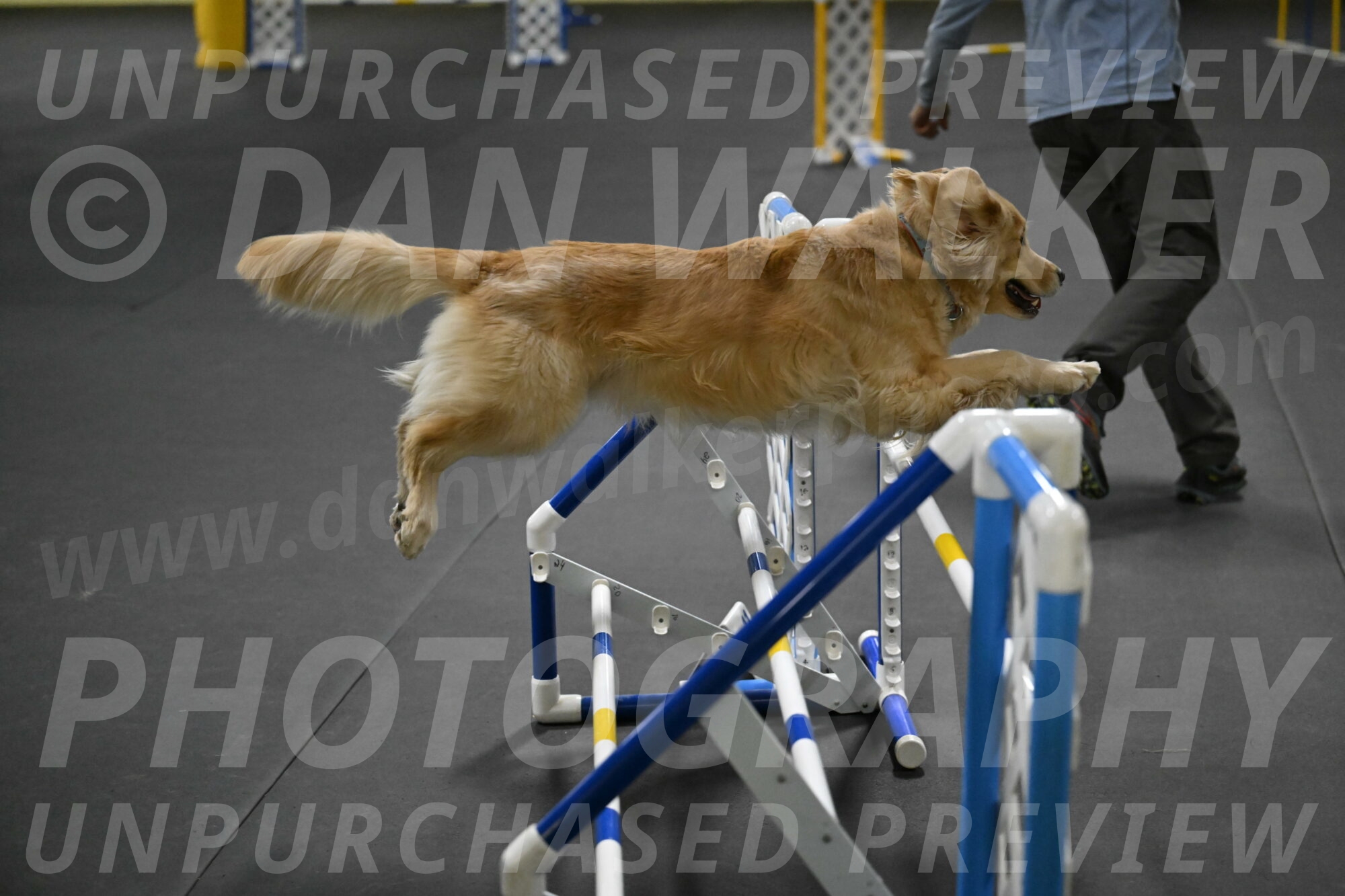 Perry-Likevich-04956