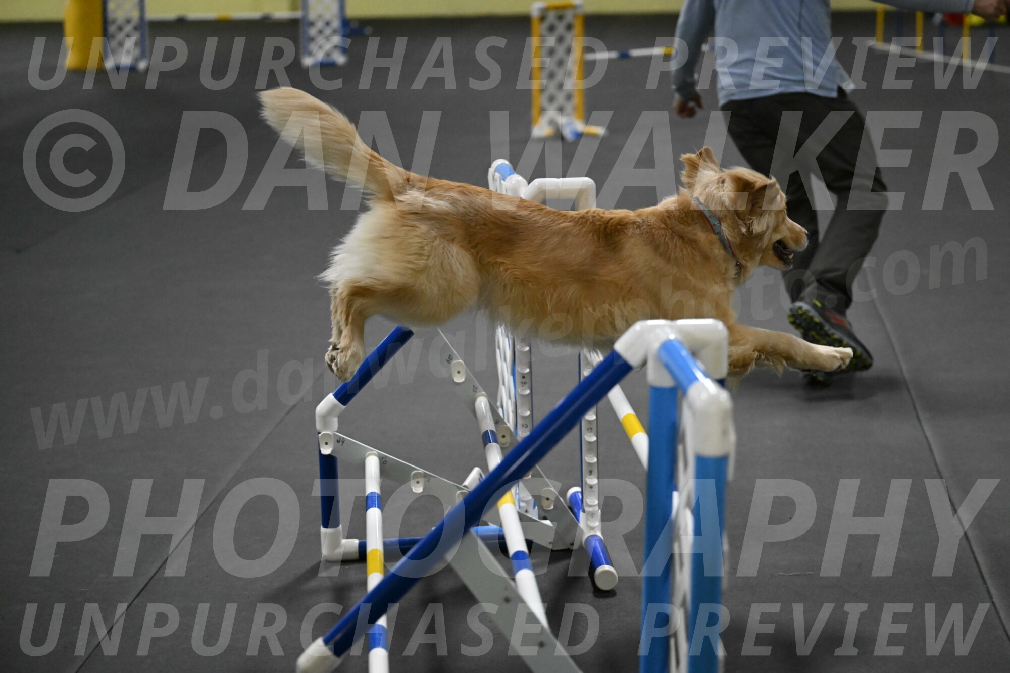 Perry-Likevich-04957