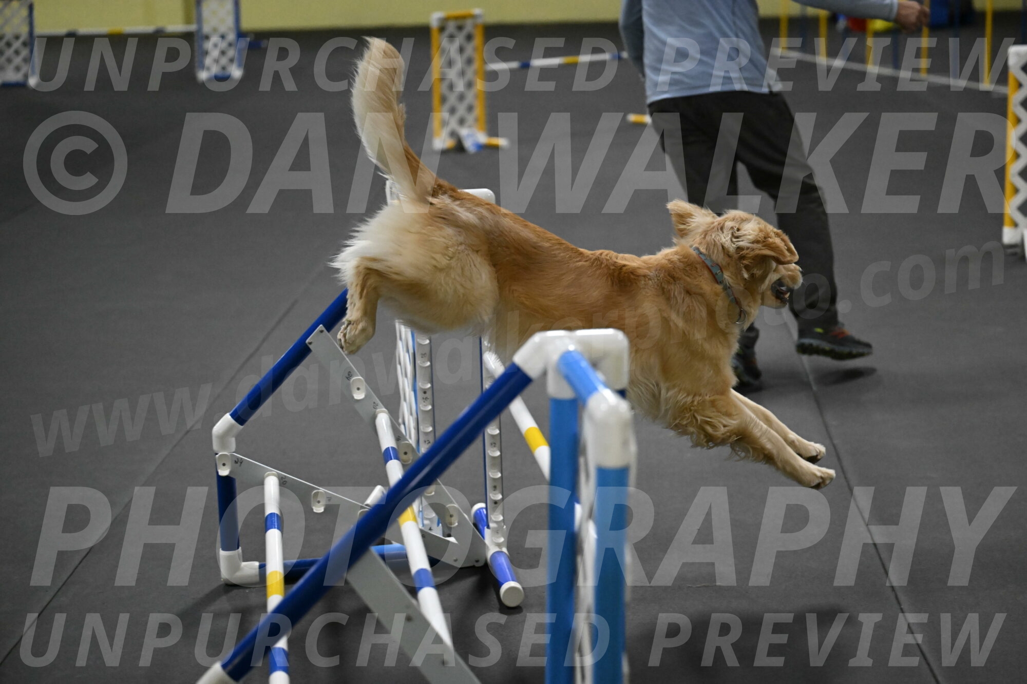 Perry-Likevich-04958