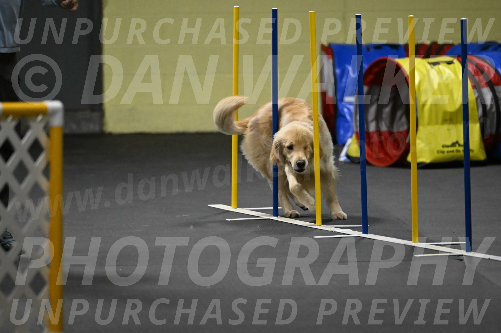 Perry-Likevich-04964