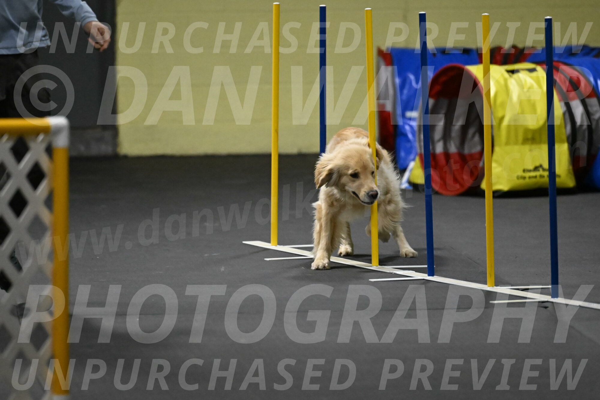 Perry-Likevich-04965