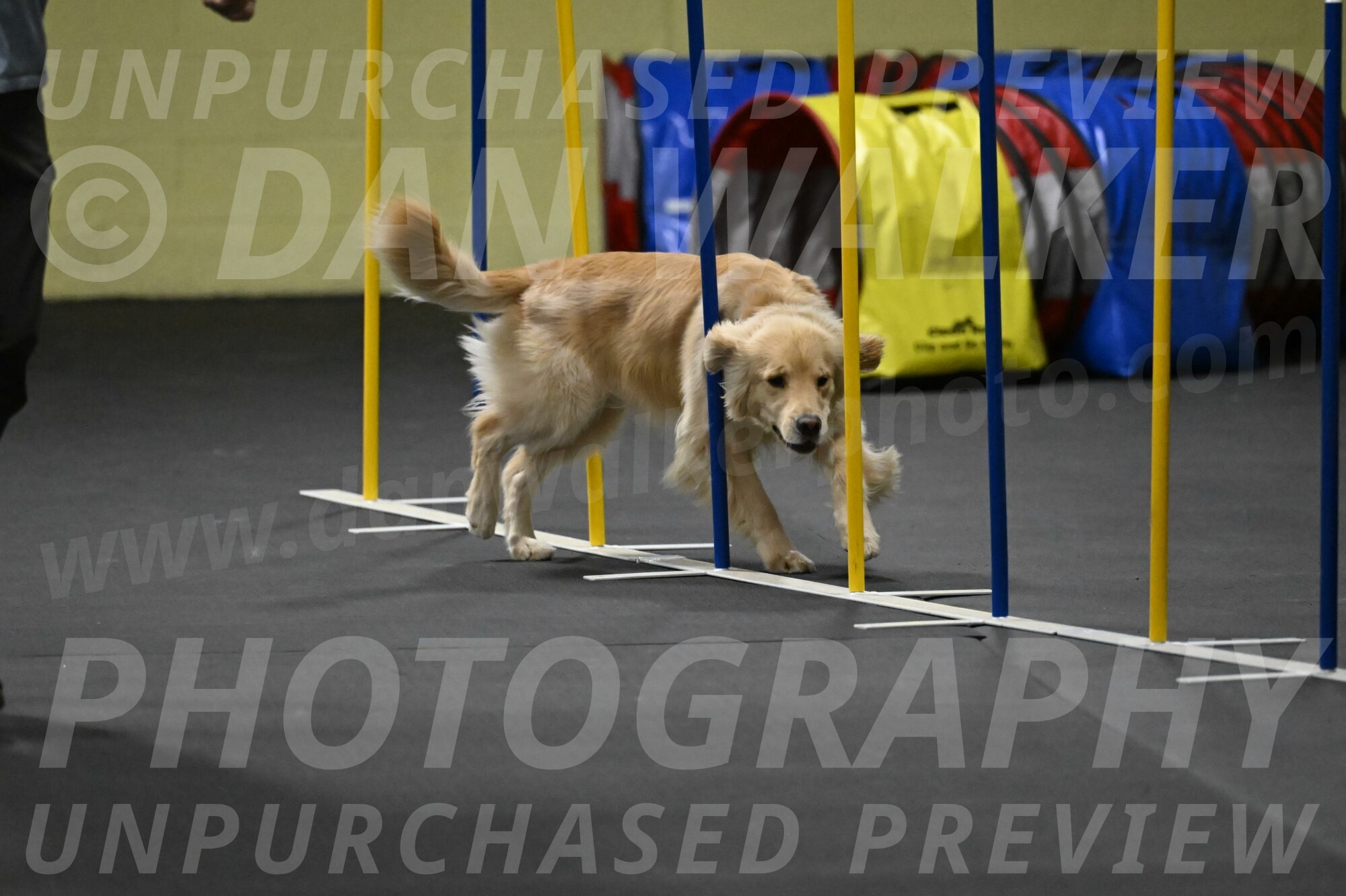 Perry-Likevich-04971