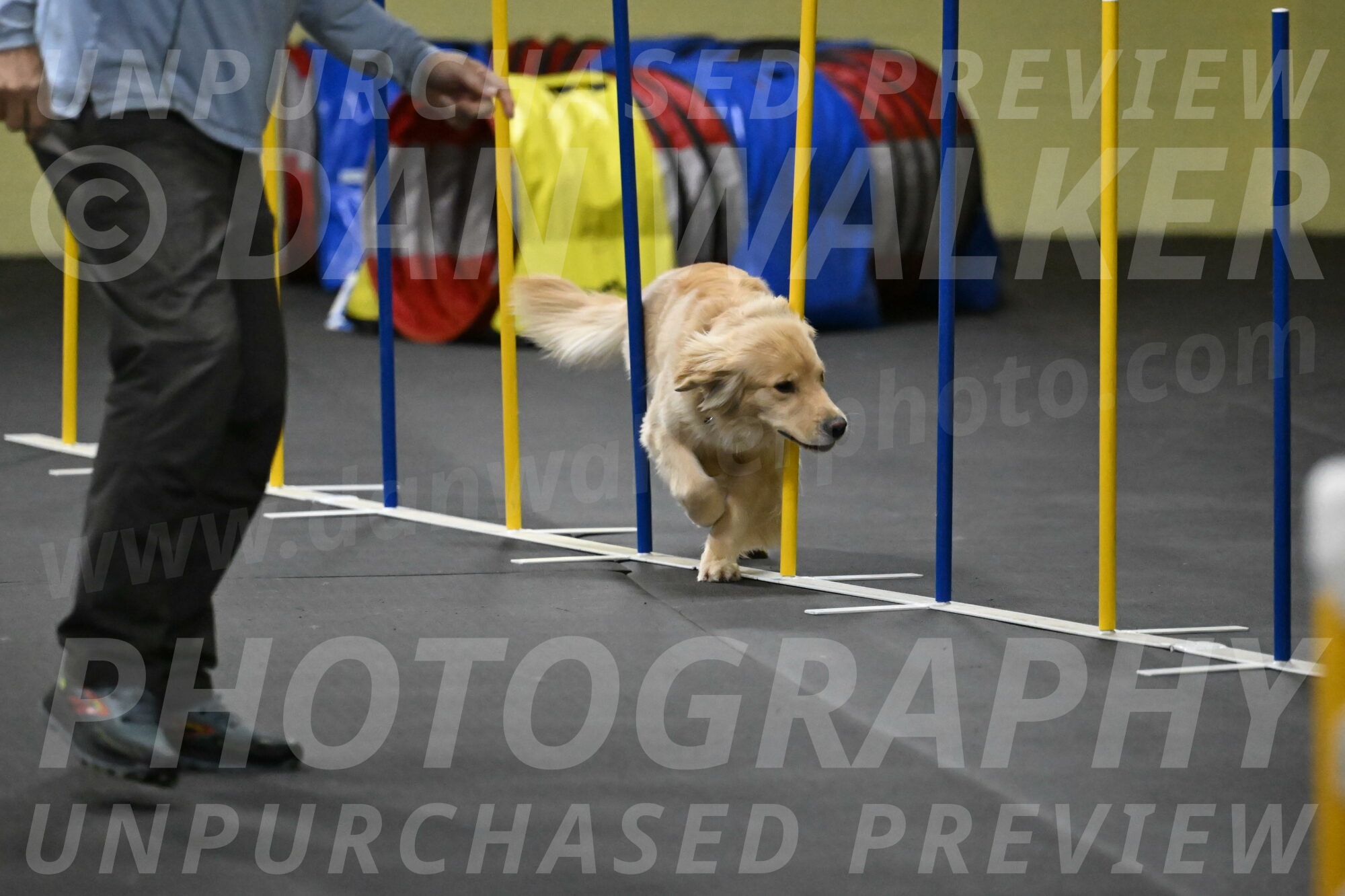 Perry-Likevich-04984