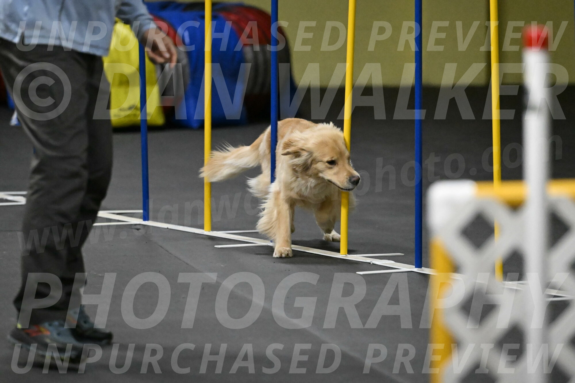 Perry-Likevich-04992