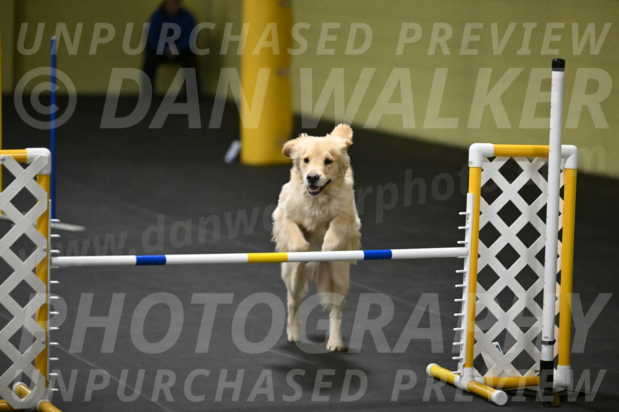 Perry-Likevich-04996