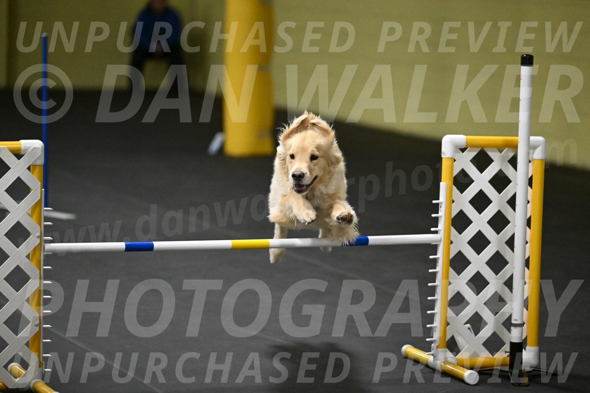 Perry-Likevich-04998