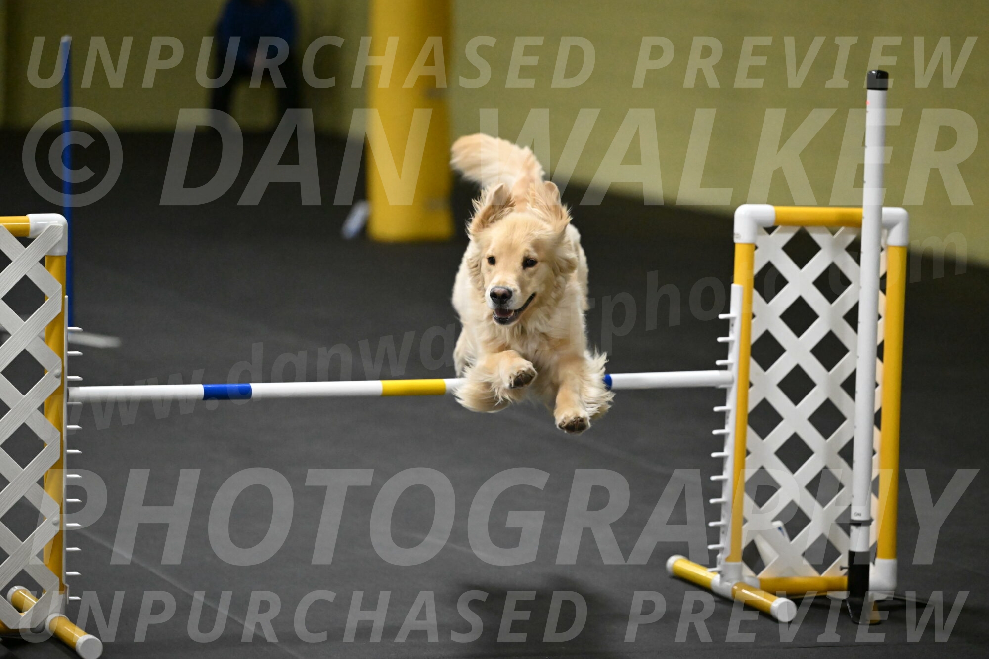 Perry-Likevich-04999