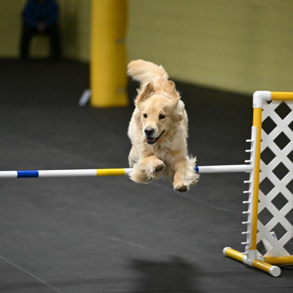 Perry-Likevich-04999