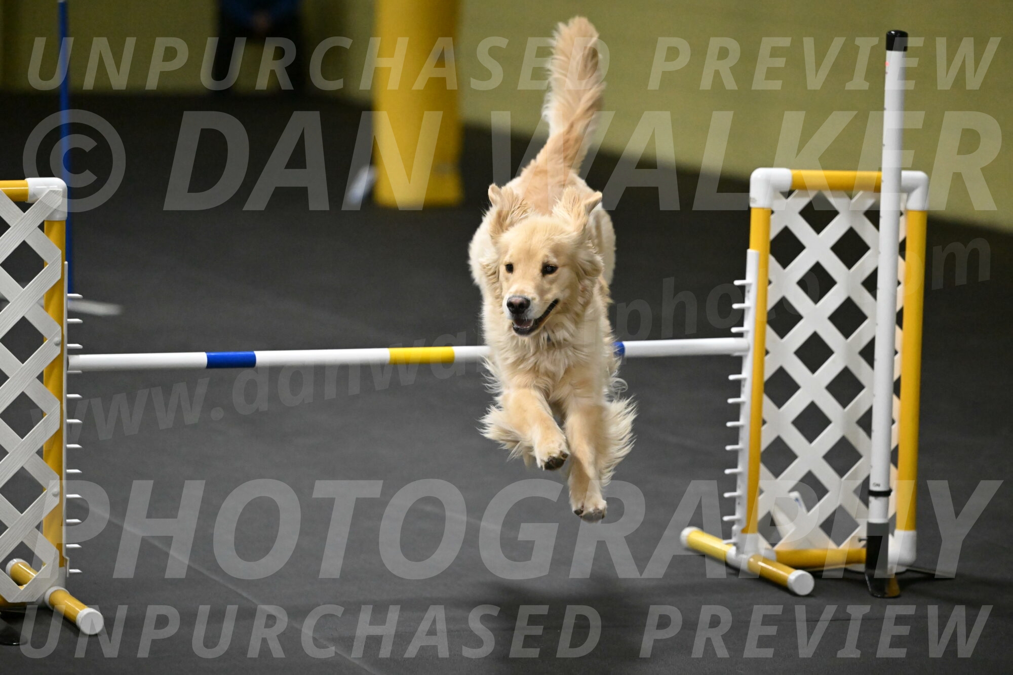 Perry-Likevich-05000