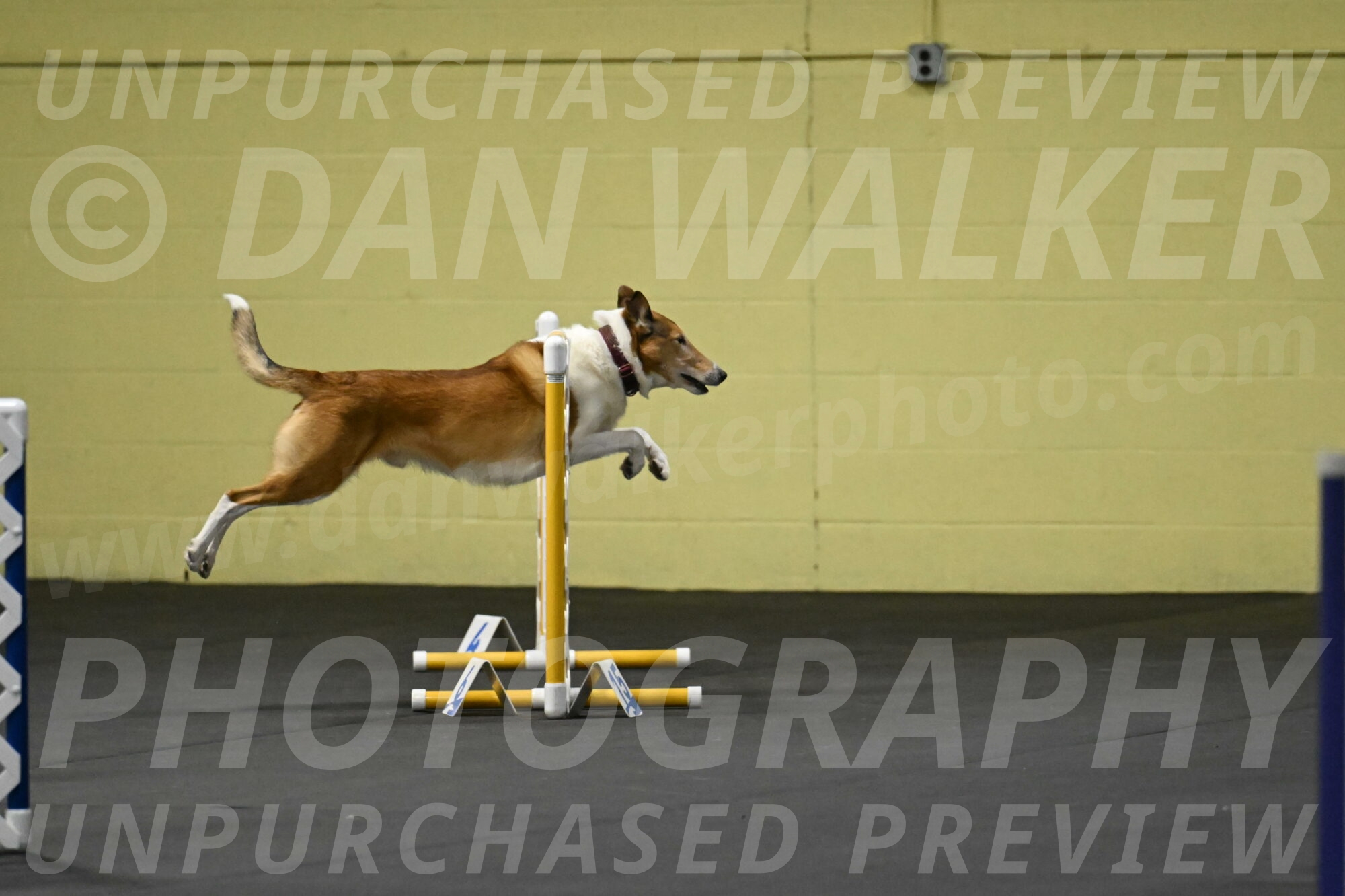 Ramble-Crawford-04119