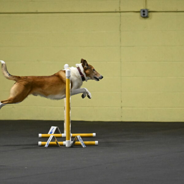 Ramble-Crawford-04119