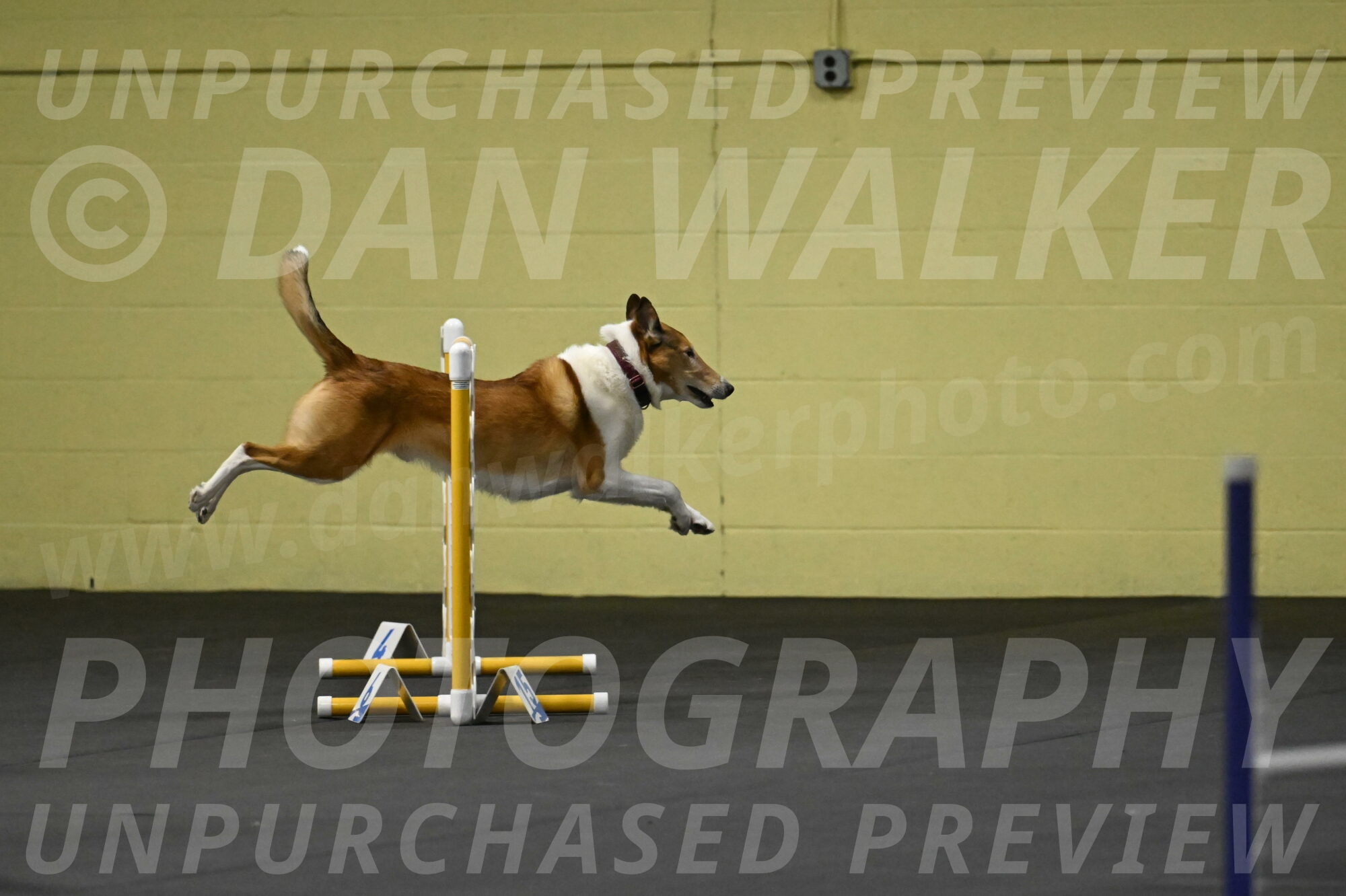 Ramble-Crawford-04120