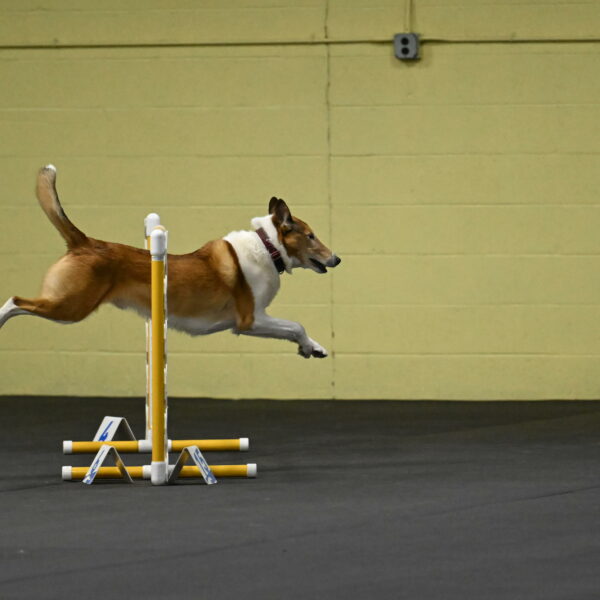 Ramble-Crawford-04120