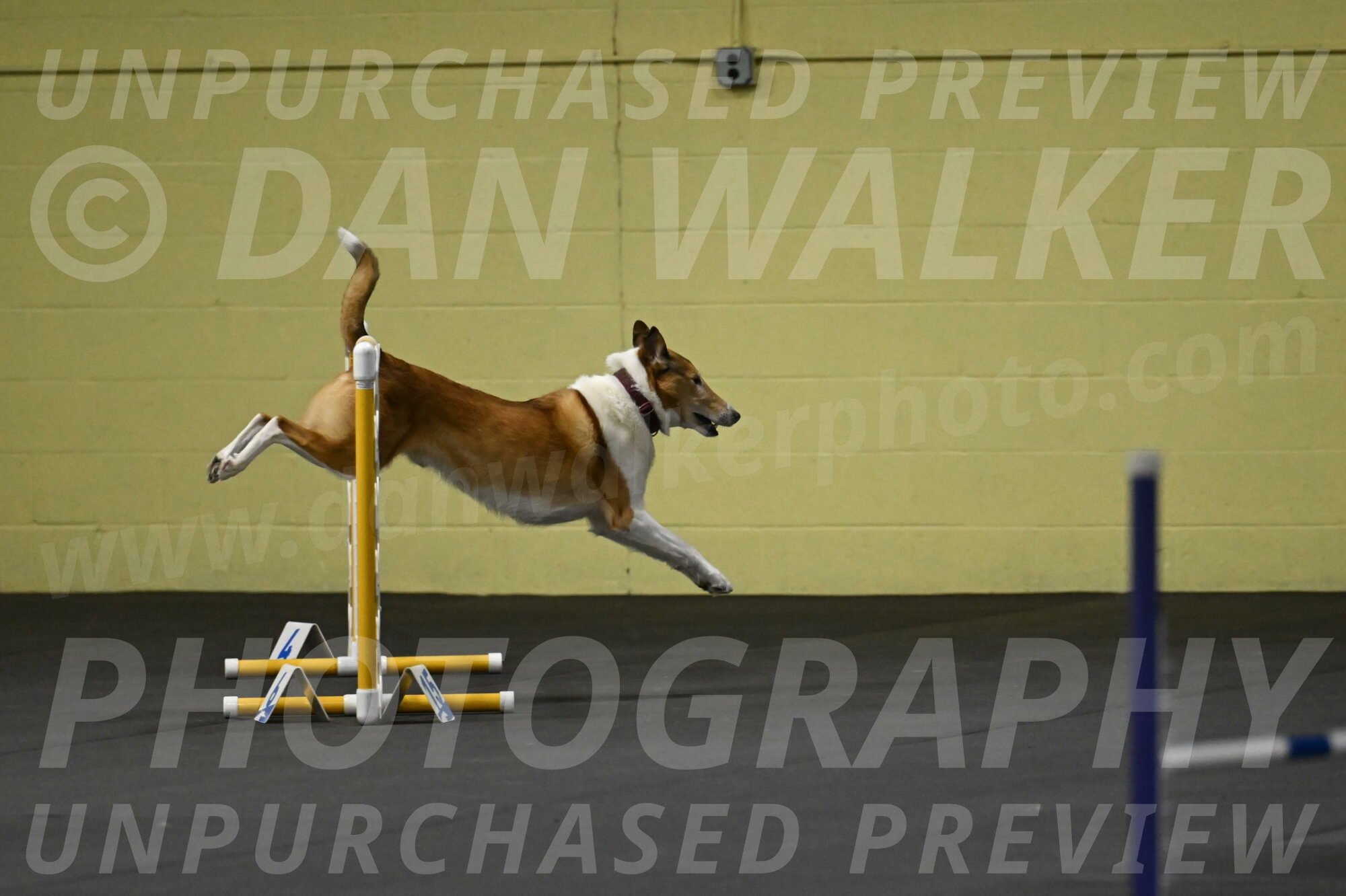 Ramble-Crawford-04121