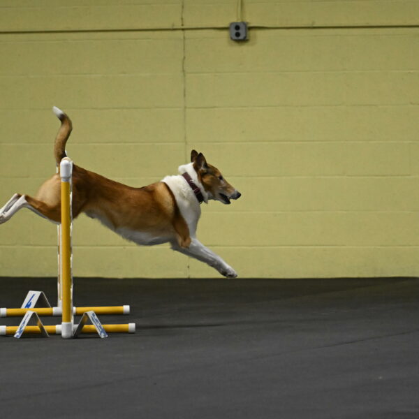 Ramble-Crawford-04121