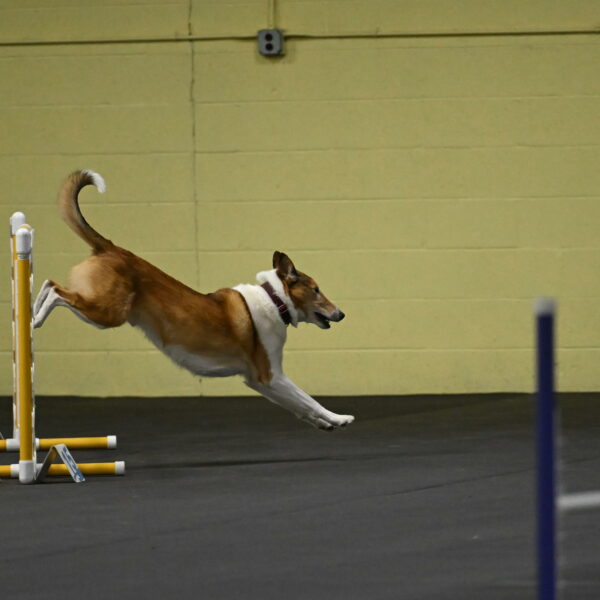 Ramble-Crawford-04122