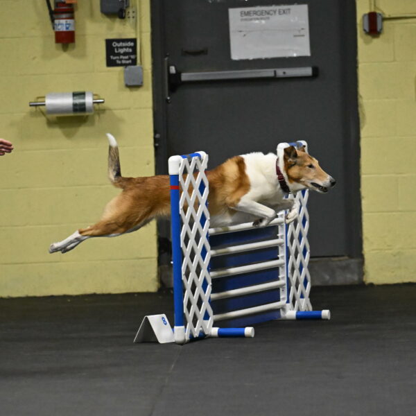 Ramble-Crawford-04132