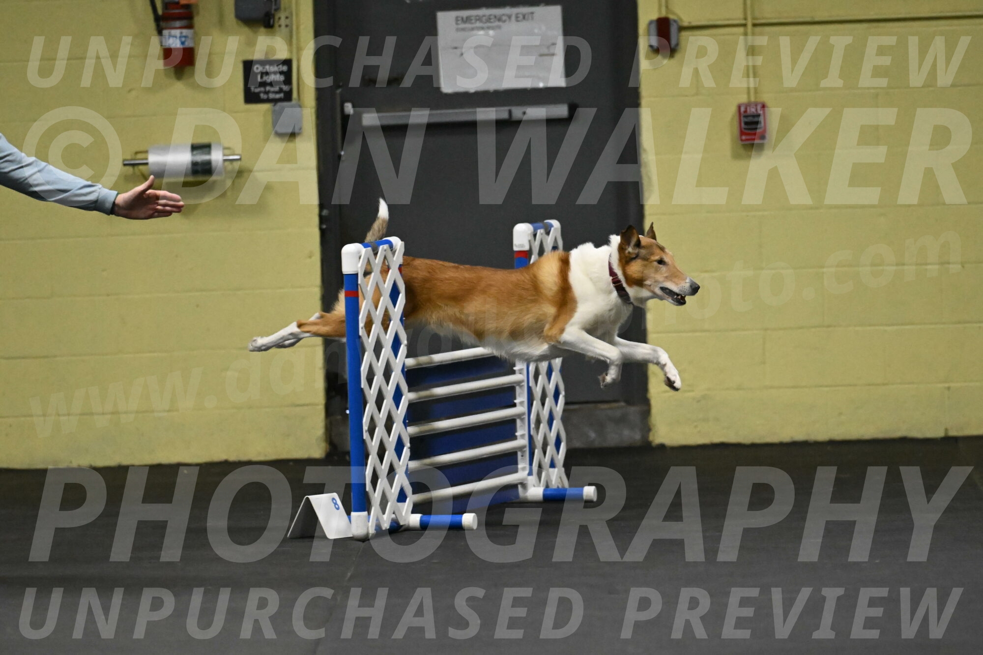 Ramble-Crawford-04133