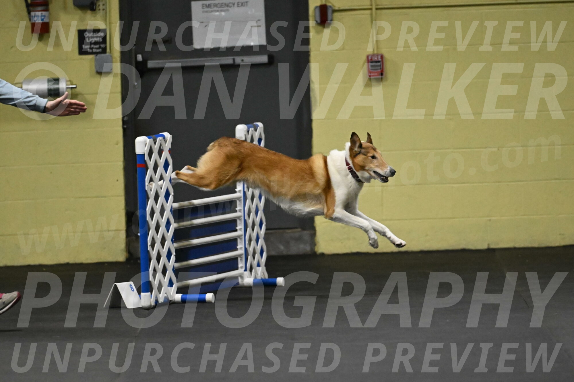 Ramble-Crawford-04134