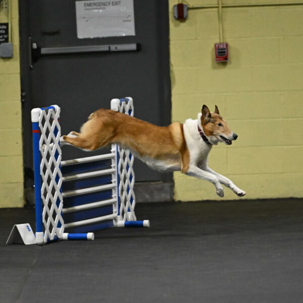 Ramble-Crawford-04134